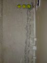 DSC00450.JPG