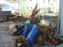 DSC00883.JPG
