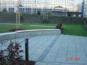 DSC00889.JPG
